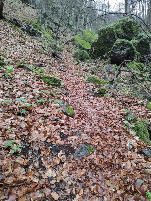 Пътеката за водопад Азовско падало