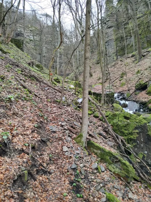 Пътеката за водопад Азовско падало