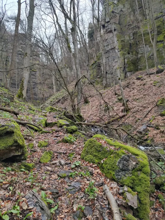 Пътеката за водопад Азовско падало