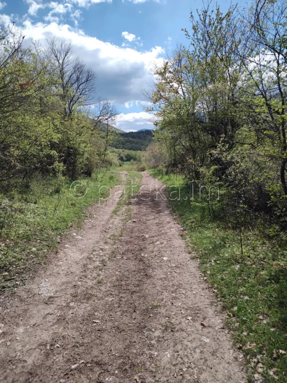 Пътят от с. Голямо Белово