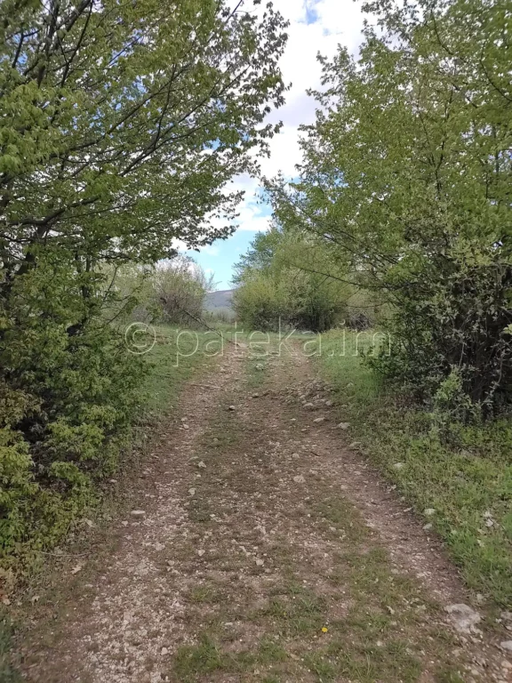 Пътят над с. Голямо Белово за водопад Азовско падало