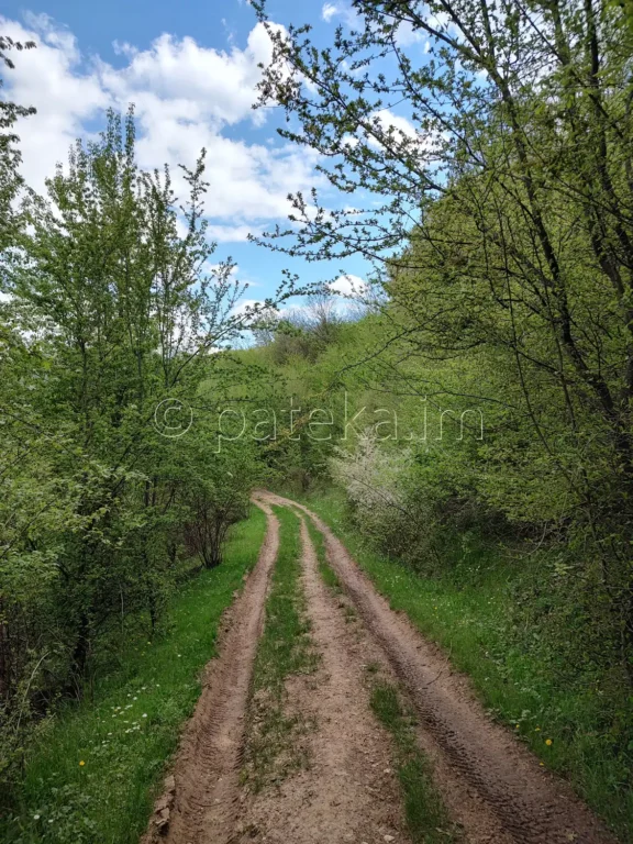 Пътят над с. Голямо Белово за водопад Азовско падало