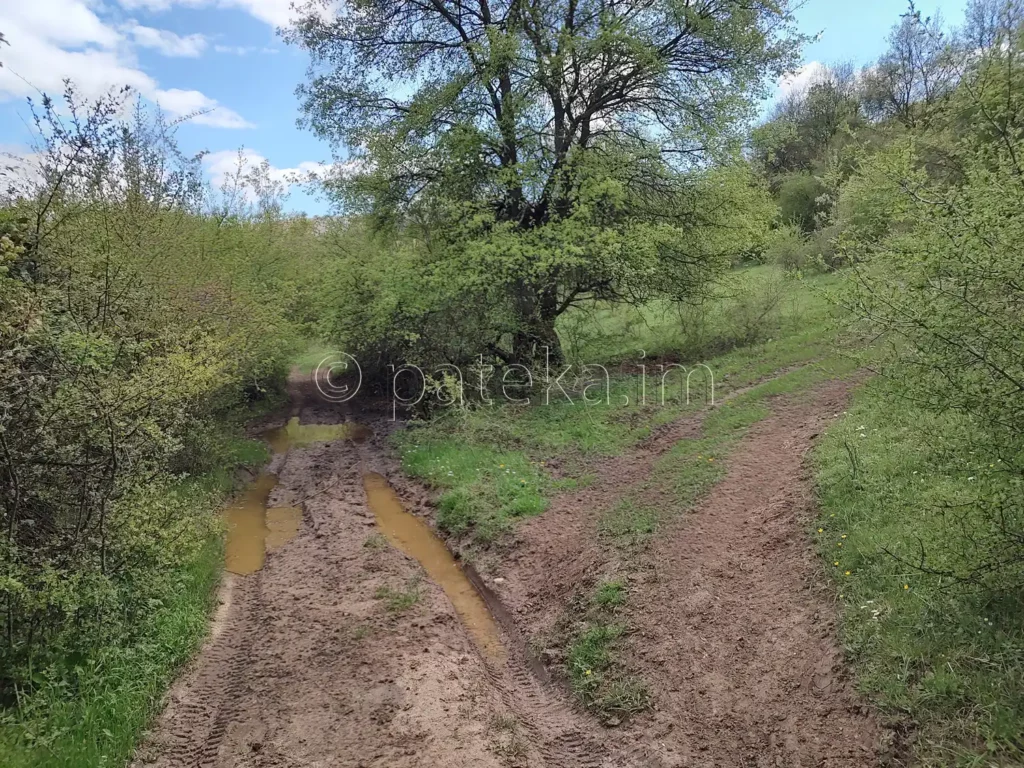 Пътят над с. Голямо Белово за водопад Азовско падало