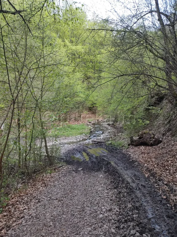 Брод през реката