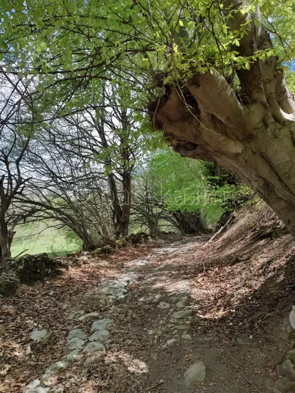 Пътят над с. Голямо Белово за водопад Азовско падало