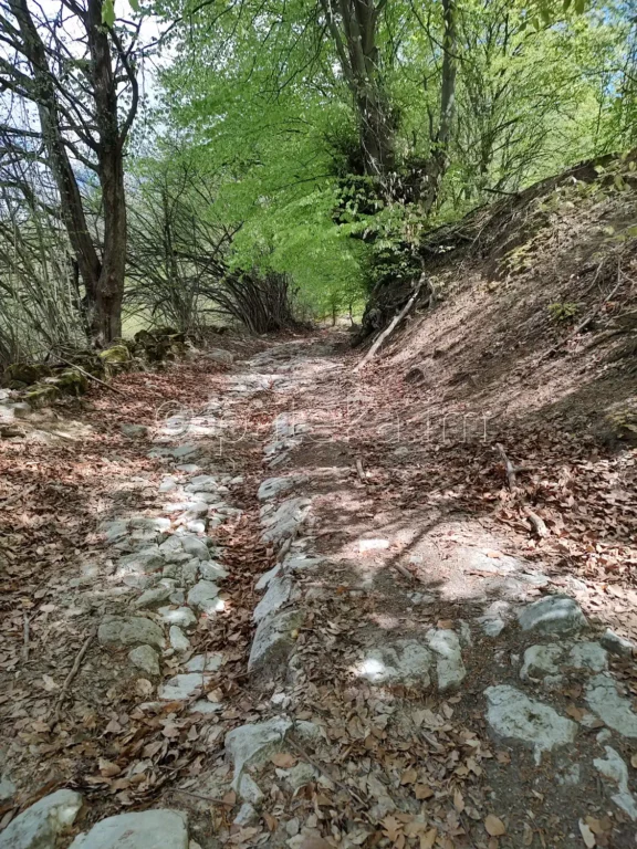 Пътят над с. Голямо Белово за водопад Азовско падало
