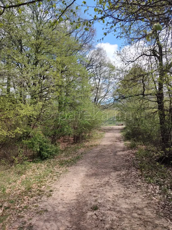 Пътят над с. Голямо Белово за водопад Азовско падало