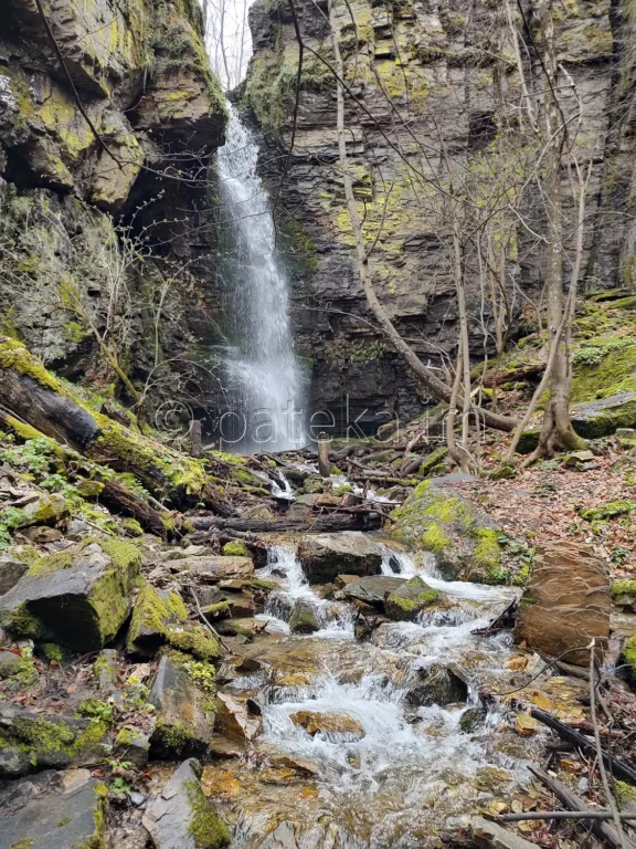 Азовското падало в Родопите през пролетта