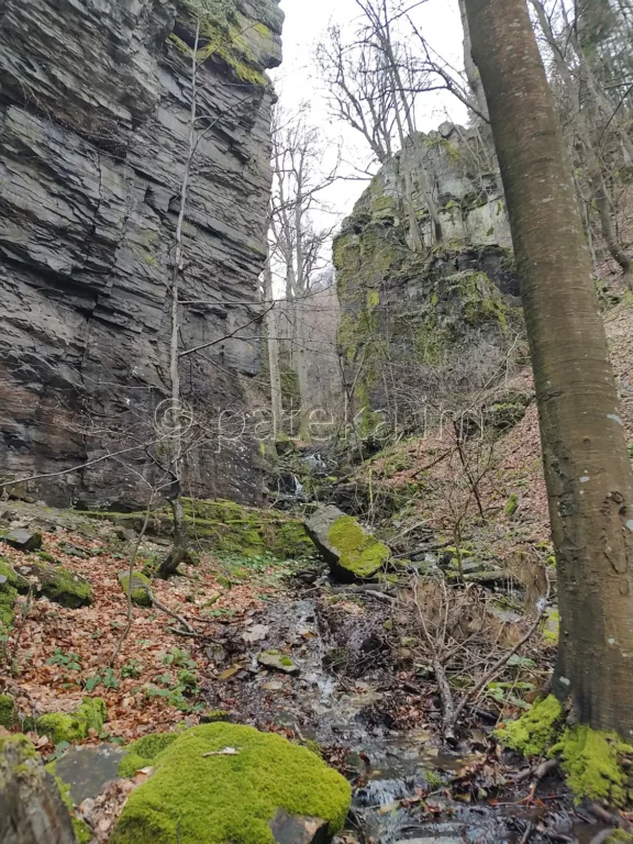 Приток на р. Азовица в близост до Азовското падало