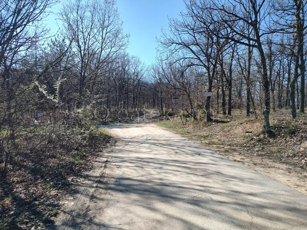 Краят на асфалтовия път към конна база Дивия град и началото на черния път