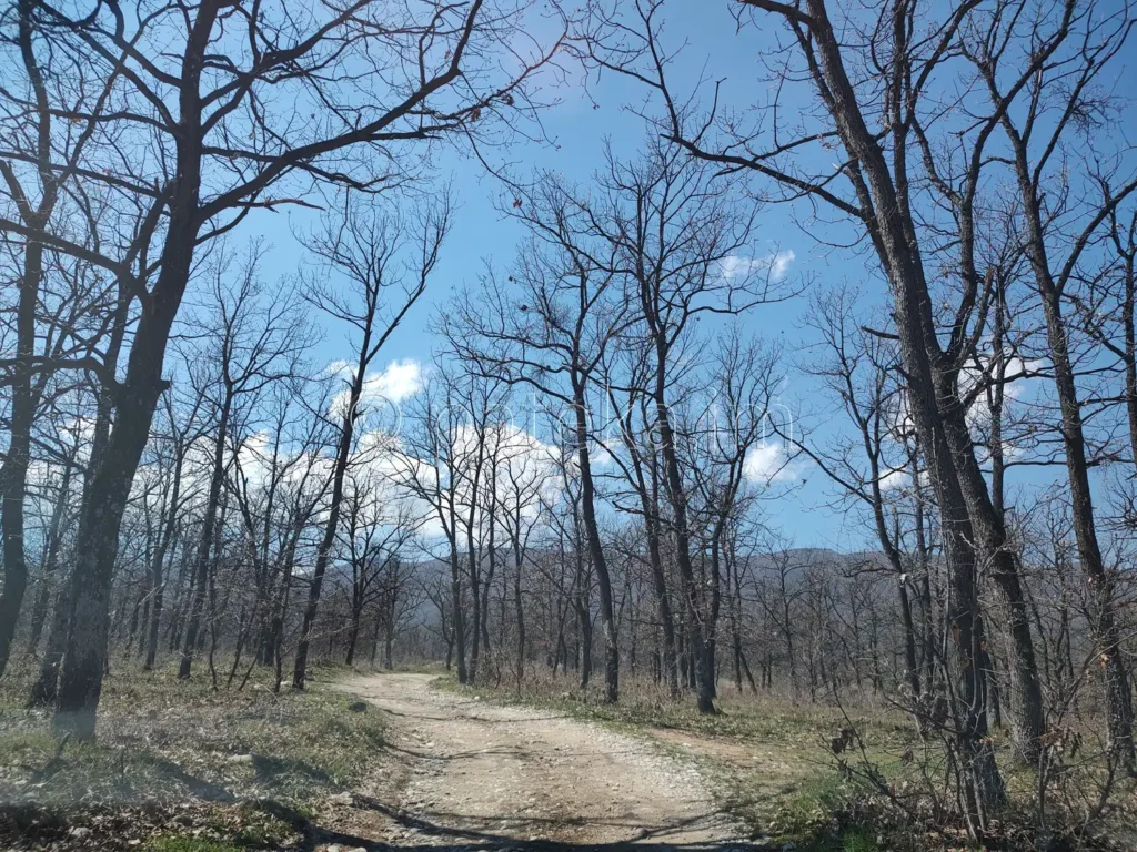 Черният път към ранчо Дивия град и водопад Лястовичи вир