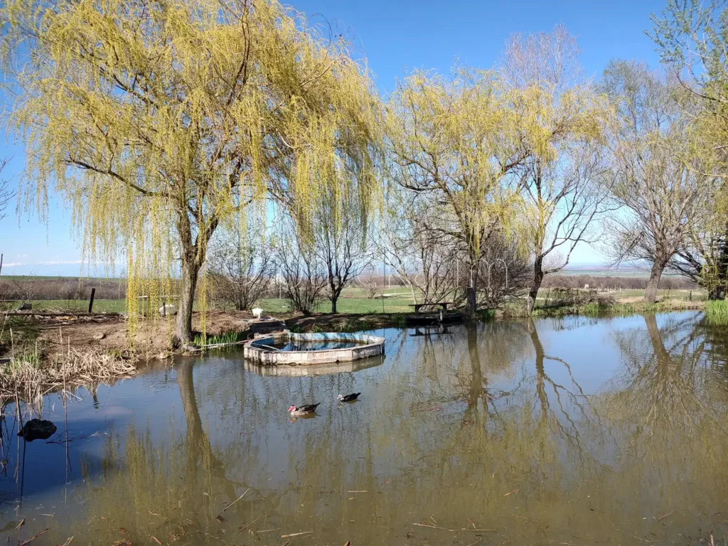 Ранчо Дивия град