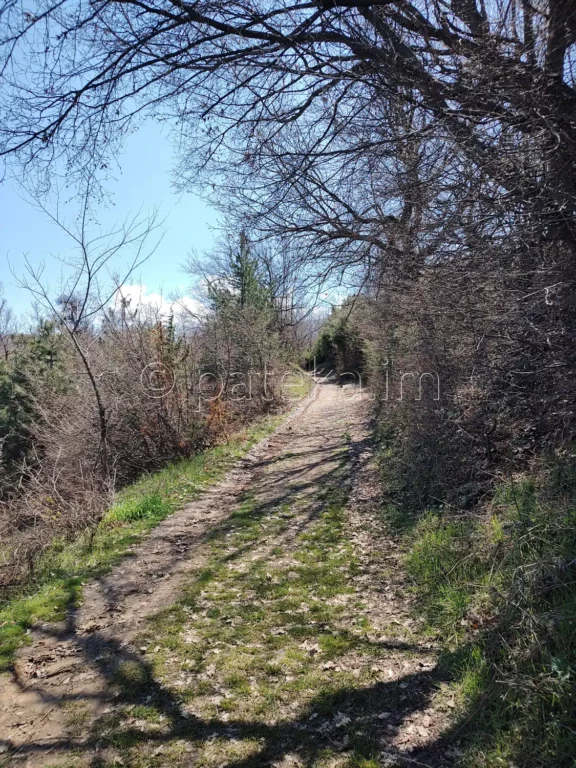 Пътят към водопад Лястовичи вир