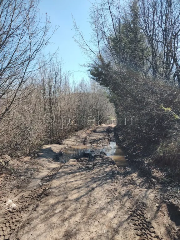 Пътят към водопад Лястовичи вир