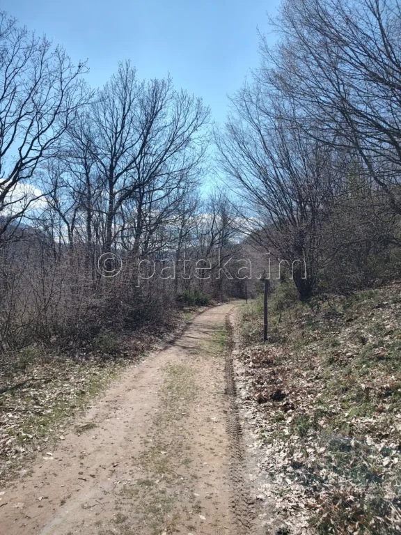 По маршрута за водопад Лястовичи вир