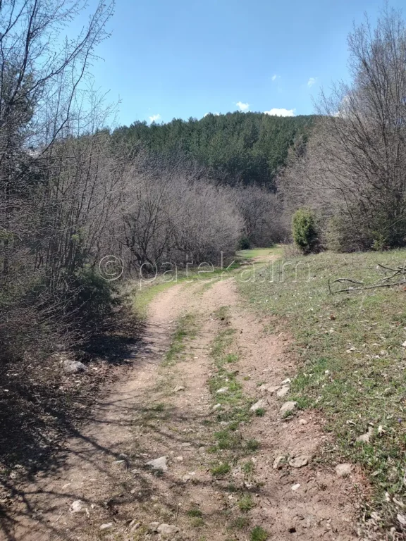 По маршрута за водопад Лястовичи вир