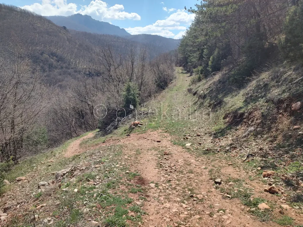 Пътеката за водопад Лястовичи вир се отклонява вляво от широкия път