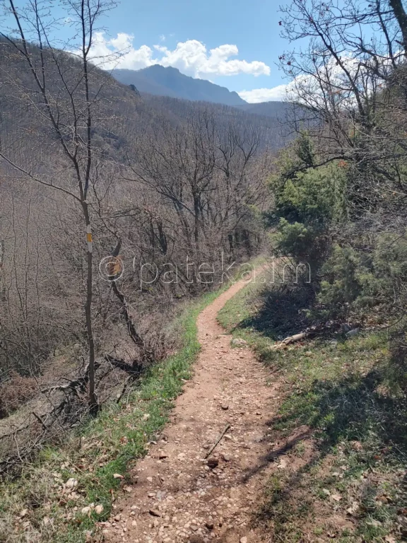 Пътеката, която се спуска към реката, по маршрута за водопад Лястовичи вир