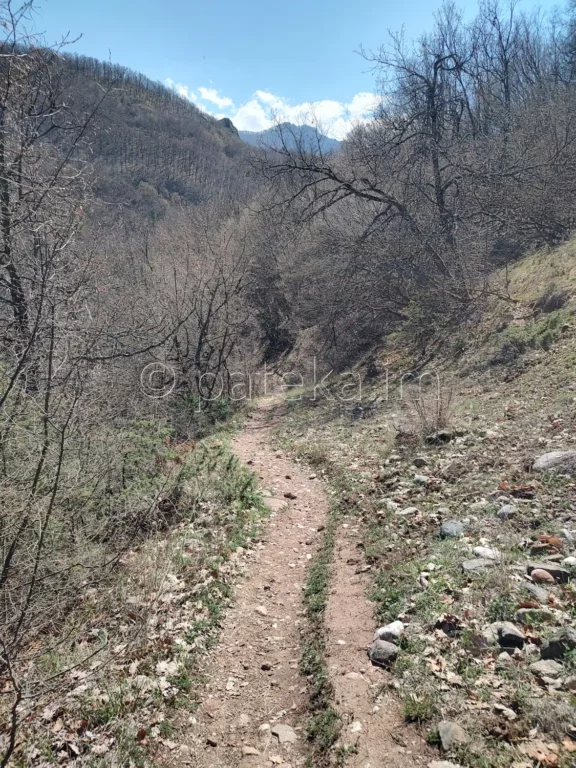 Пътеката, която се спуска към реката, по маршрута за водопад Лястовичи вир