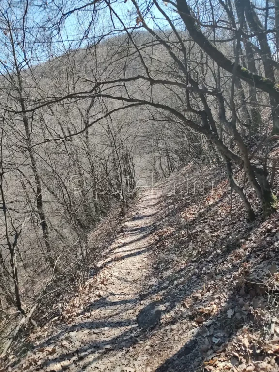 Пътеката, която се спуска към реката, по маршрута за водопад Лястовичи вир