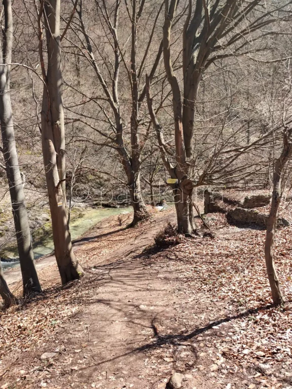 Пътеката, която се спуска към реката, по маршрута за водопад Лястовичи вир