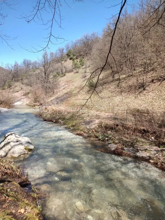 Река Голяма Сушица