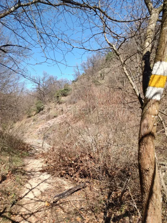 По маршрута за водопад Лястовичи вир