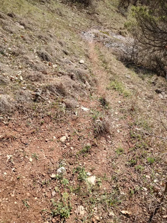 Пътеката, по която се продължава към водопад Лястовичи вир - поглед назад