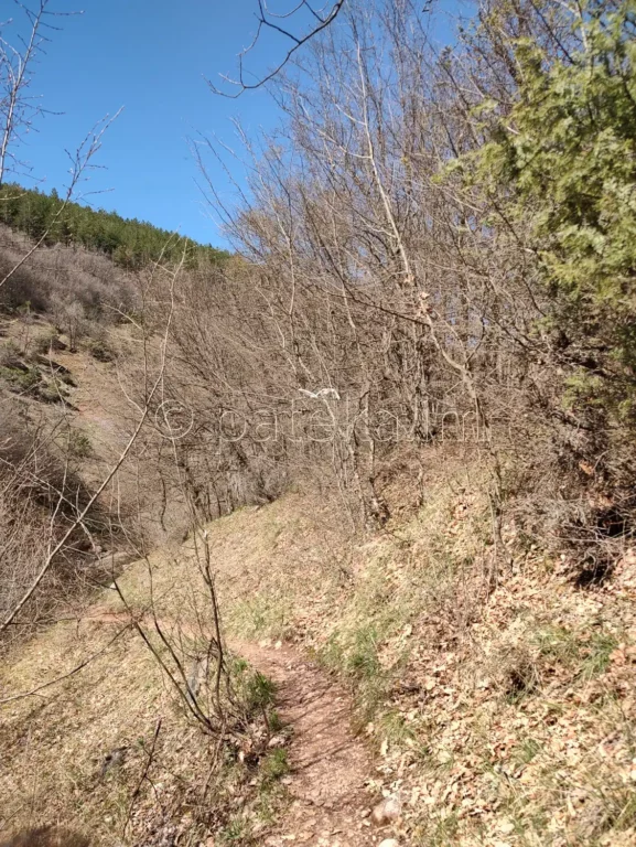 Пътеката за водопад Лястовичи вир