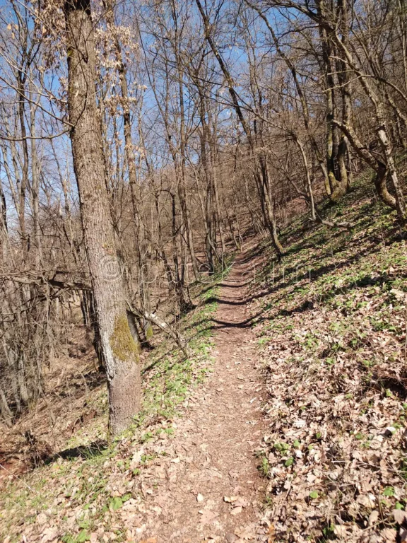 Пътеката за водопад Лястовичи вир