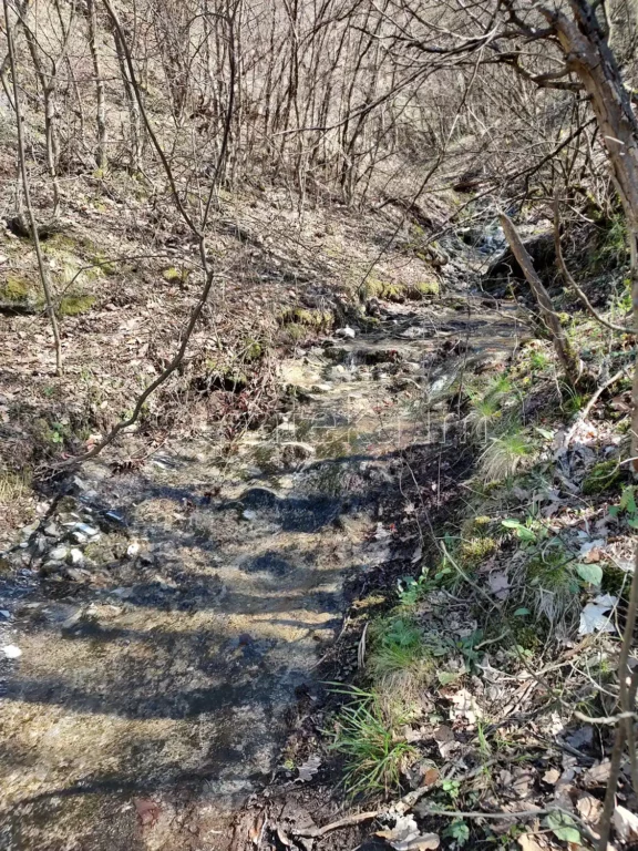 Десен приток на р. Голяма Сушица