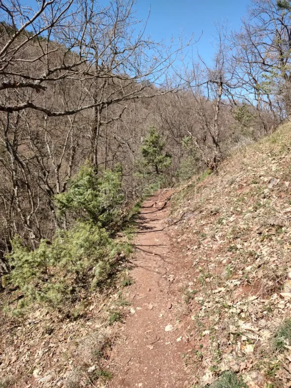 Пътеката за водопад Лястовичи вир