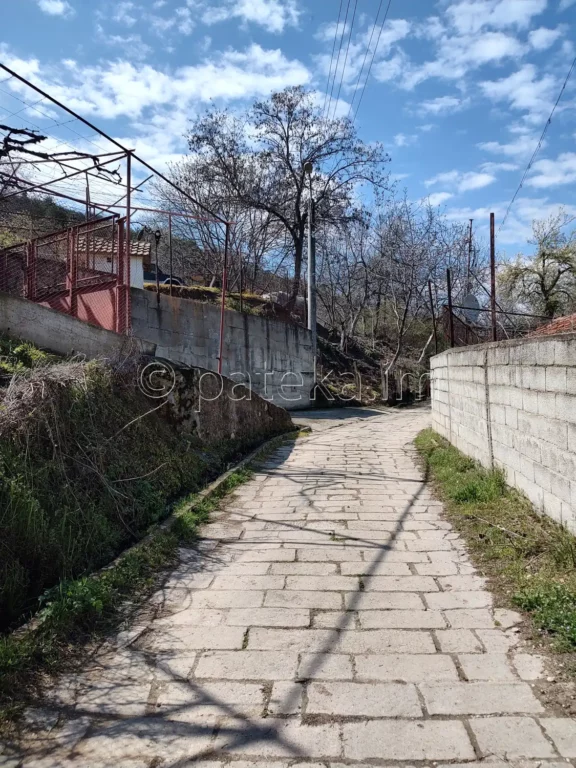 По маршрута към Устинския водопад