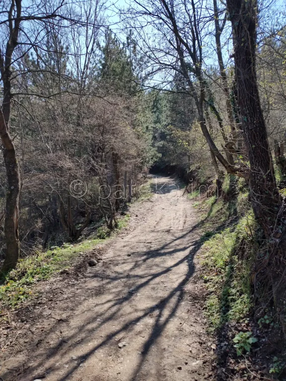 Екопътеката към Устинския водопад