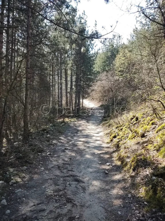 По маршрута за Устинския водопад