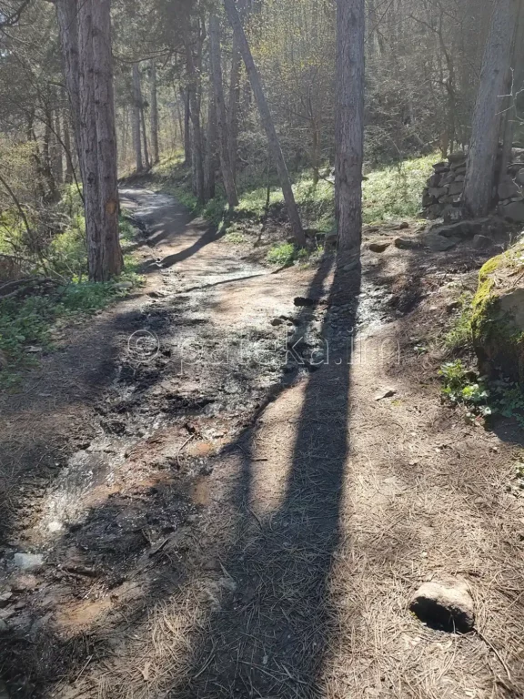 По маршрута за Устинския водопад