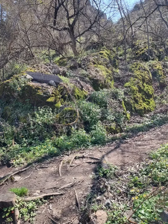 Разклонът за Устинския водопад