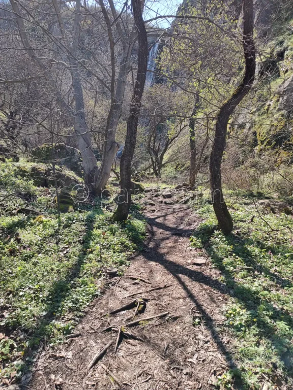 Пътечката към Устинския водопад