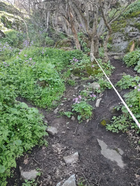 Въжетата по маршрута към връх Кулата над с. Устина