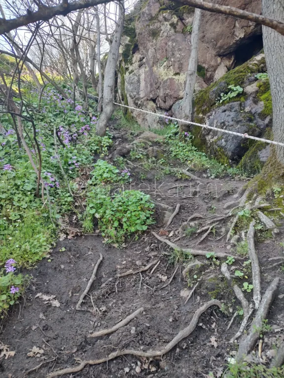 Въжетата по маршрута към връх Кулата над с. Устина