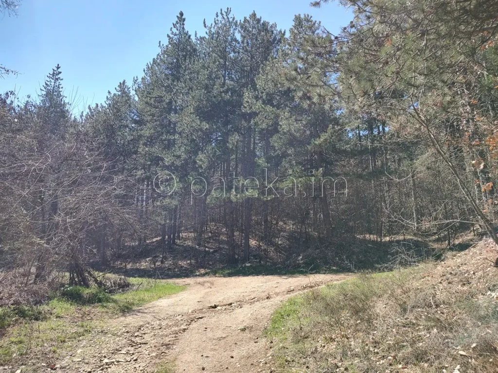 Пътят към водопад Новаково