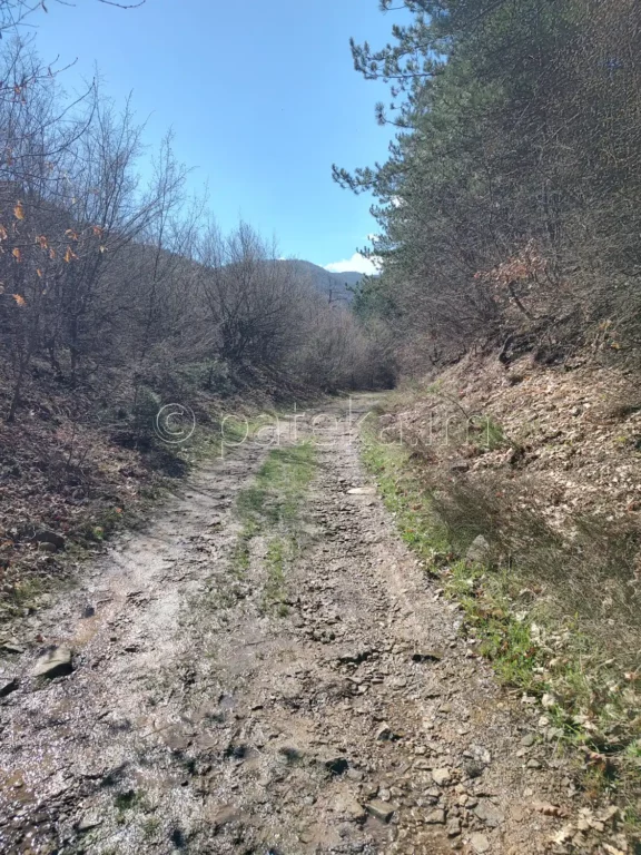 Пътят към водопад Св. Богородица Новаково