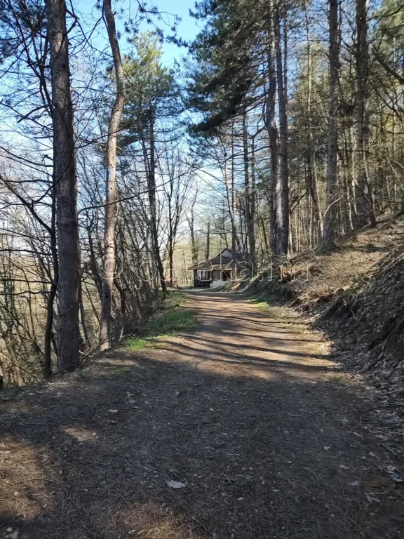 По маршрута за водопад Св. Богородица Новаково