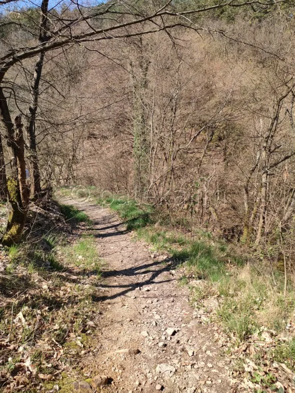 Пътеката към водопад Св. Богородица Новаково