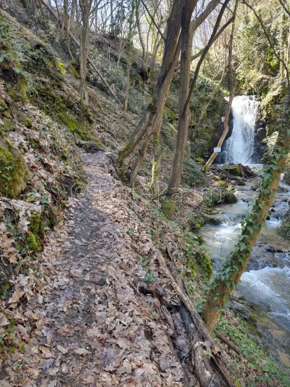 Пътеката към водопад Новаково