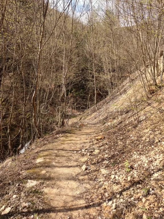 Пътеката, която отвежда над водопад Св. Георги