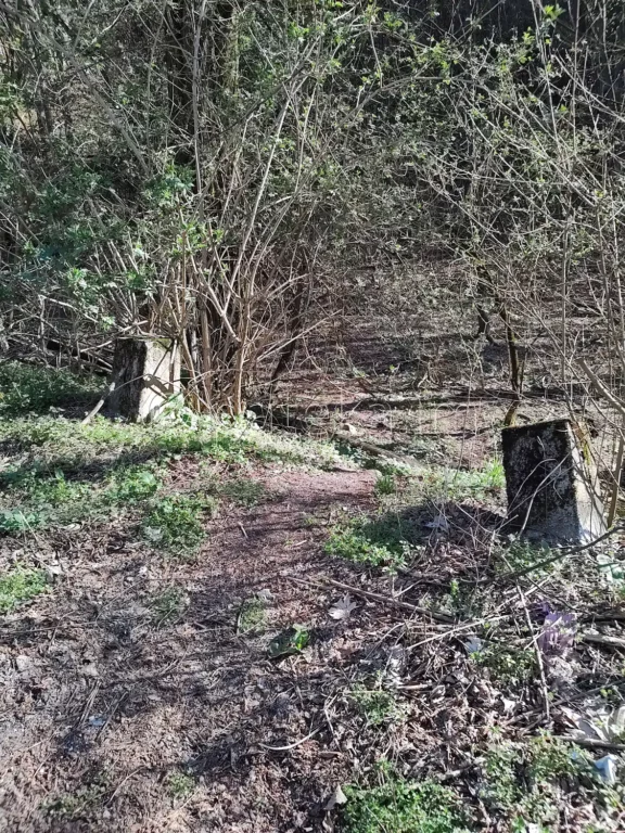 Началото на пътеката до подножието на водопад Св. Георги