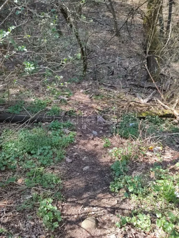 Пътеката до подножието на водопад Св. Георги между Горнослав и Орешец