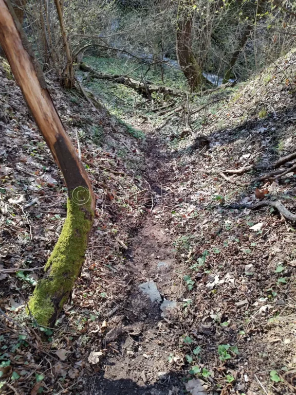 Пътеката до подножието на водопад Св. Георги между Горнослав и Орешец
