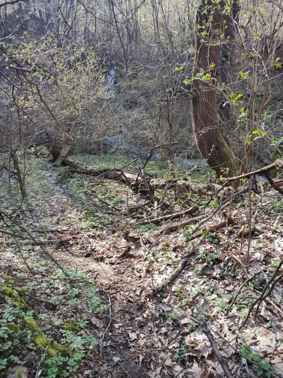 Пътеката до подножието на водопад Св. Георги между Горнослав и Орешец